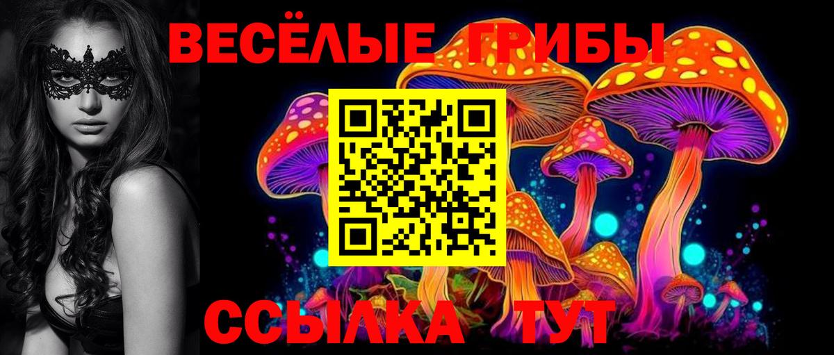 Галлюциногенные грибы мицелий Сальск