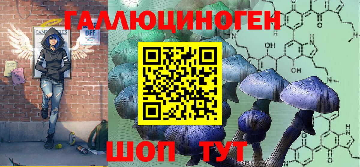 Сальск  закладка  Галлюциногенные грибы GOLDEN TEACHER  Вход с VPN  Псилоцибиновые грибы прущие грибы 